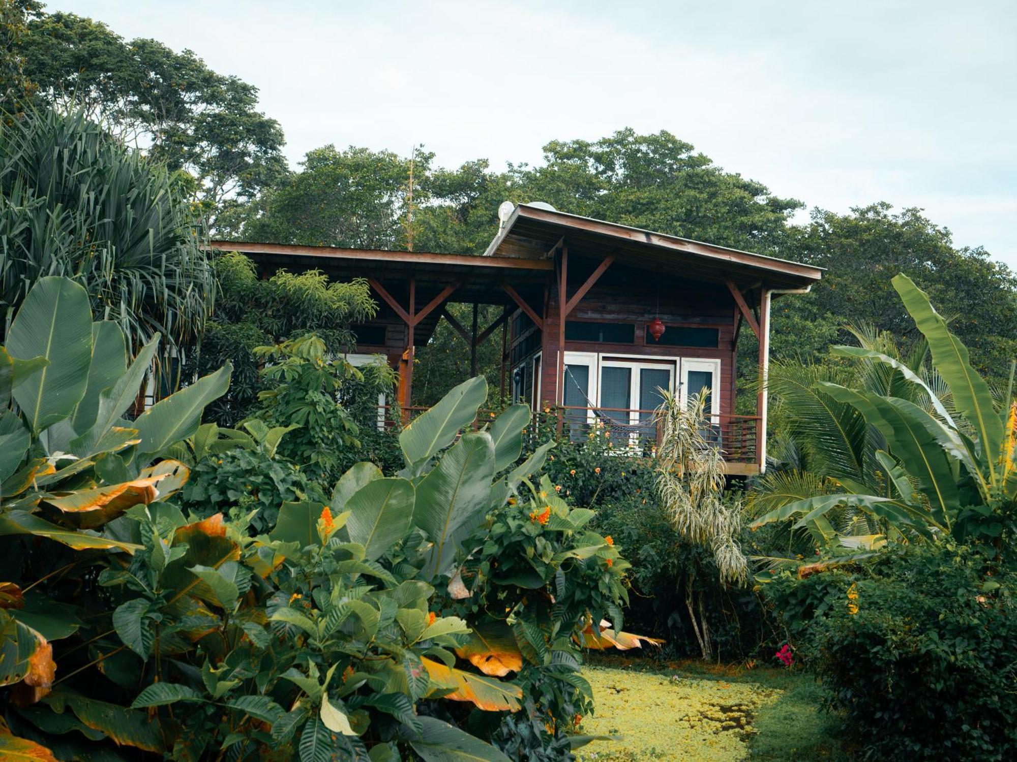 Eclypse De Mar Acqua Lodge Bastimentos Room photo